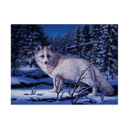 R W Hedge 'Blue Northern' Canvas Art,24x32